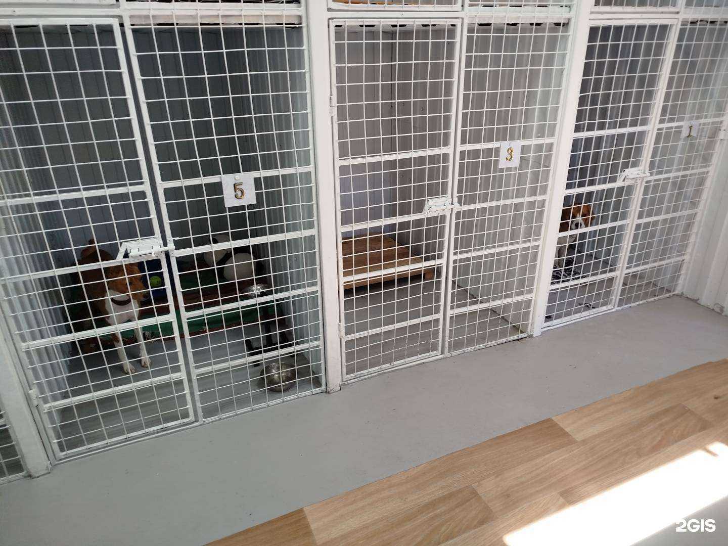 Отзывы на компанию Зоозабота в г. Дивногорск c фото