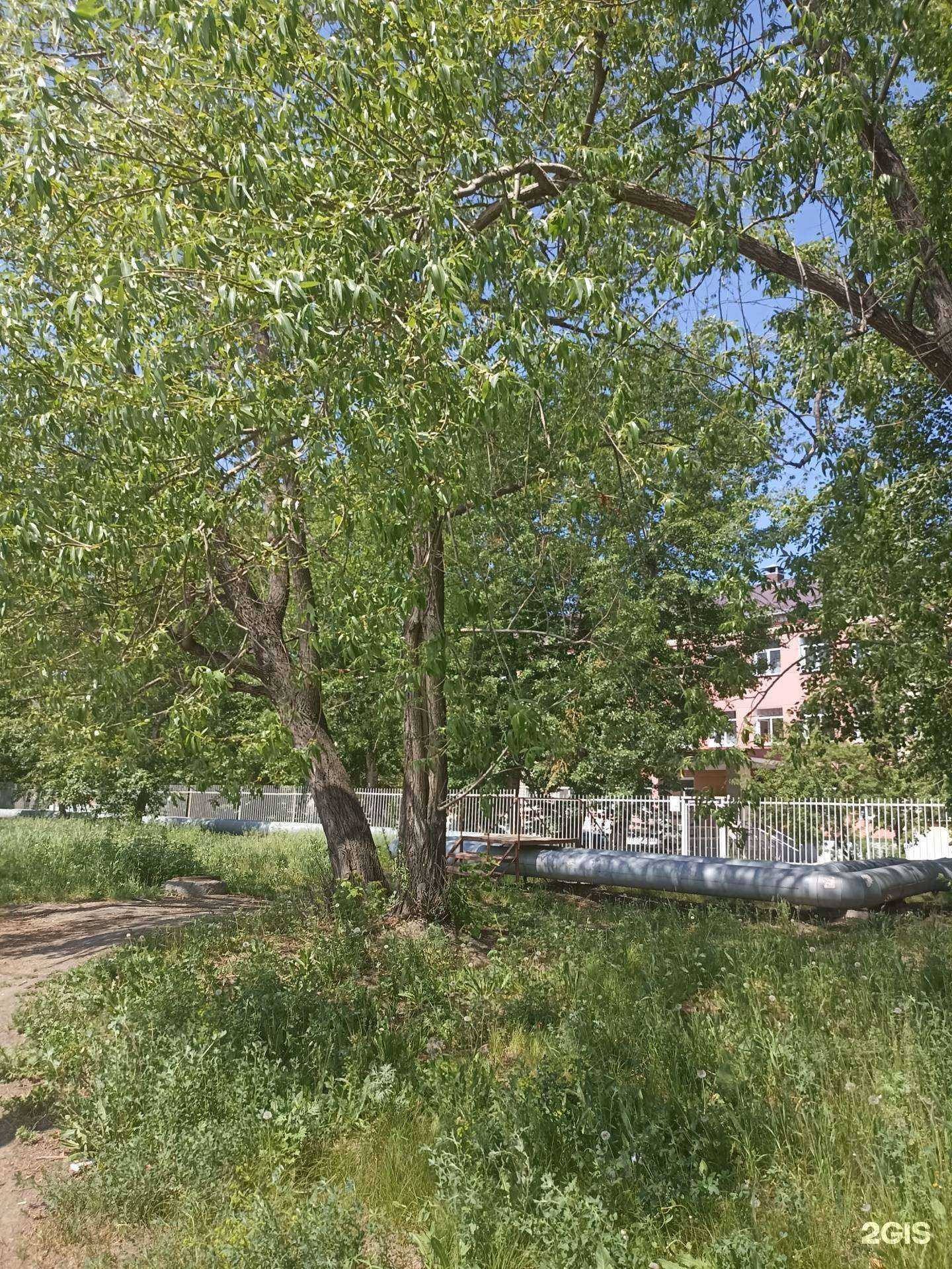 Отзывы на компанию Dance Opera в г. Челябинск c фото