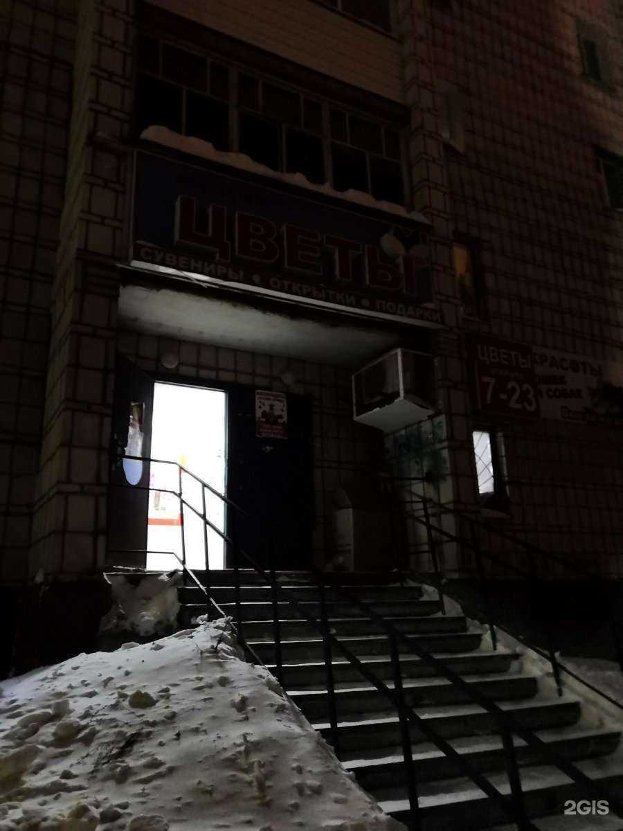 Отзывы на компанию Четыре лапы в Сыктывкаре c фото