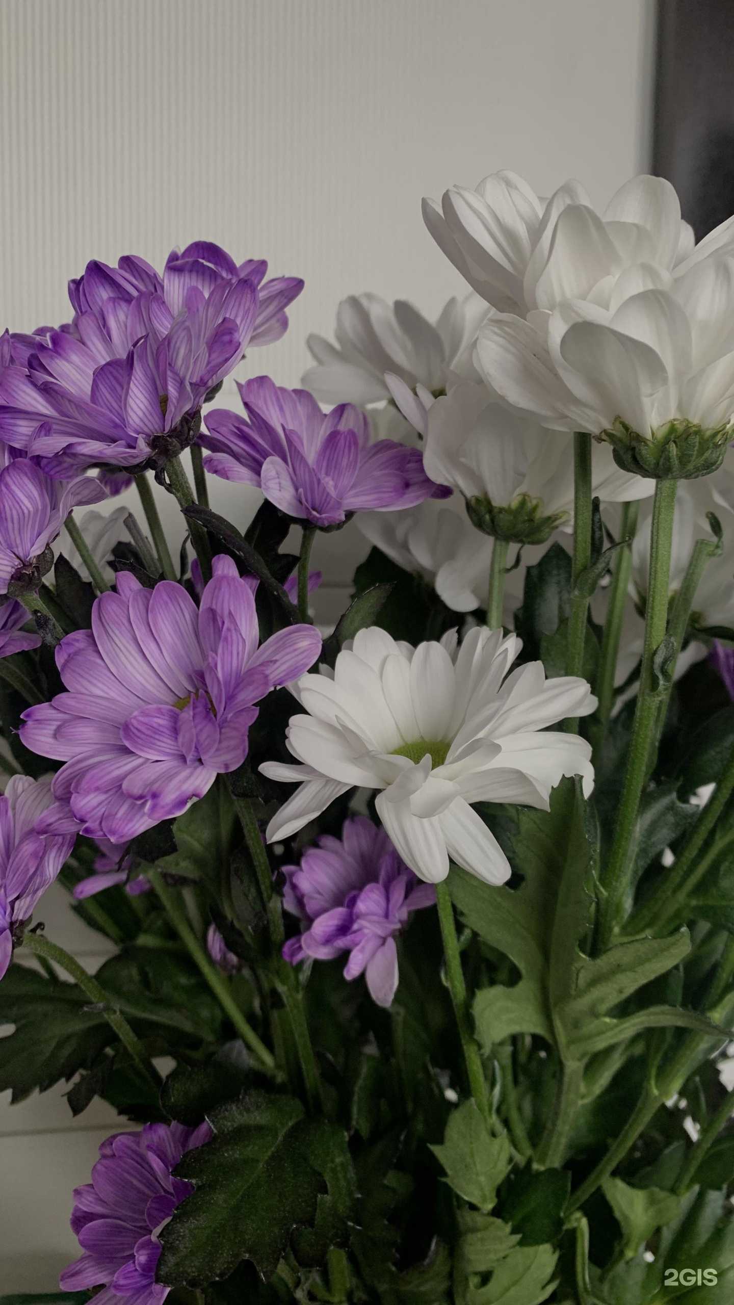 Отзывы на компанию Магазин цветов в г. Казань c фото