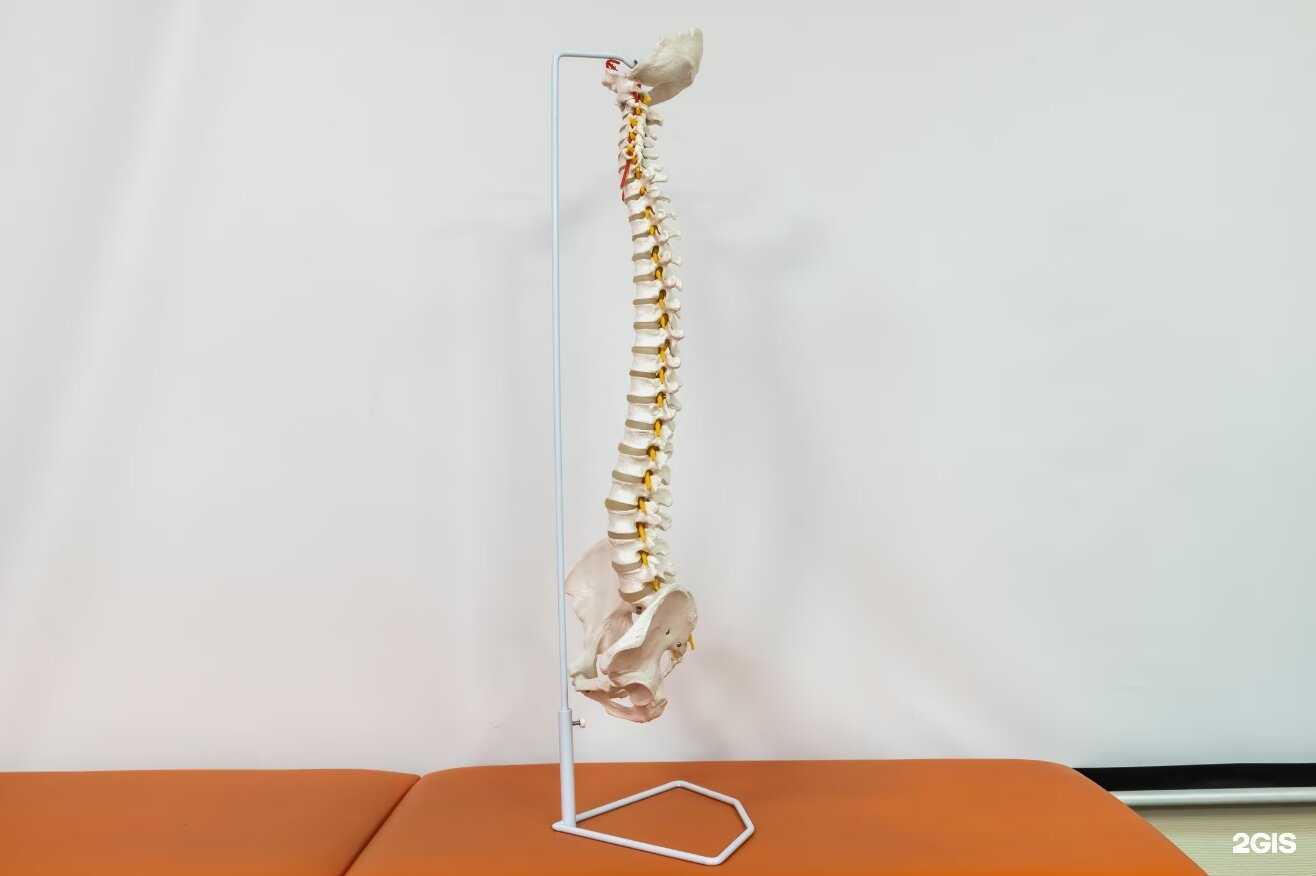 Отзывы на компанию Новосибирский институт кинезиологии в Новосибирске c фото