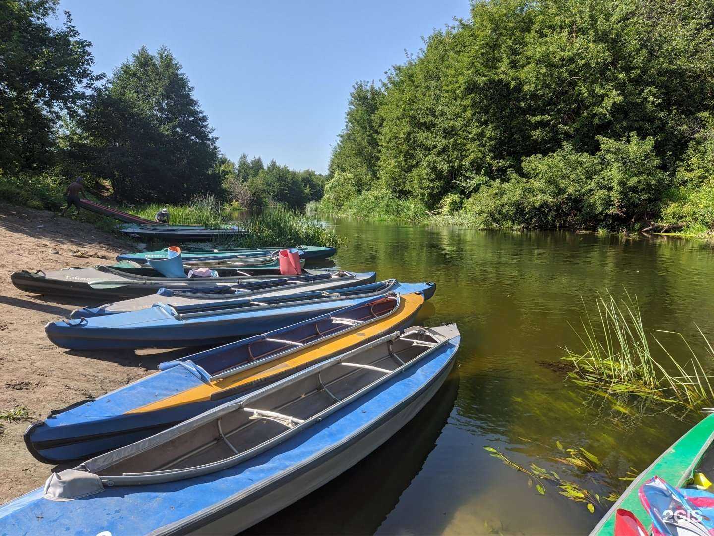 Отзывы на компанию Дорога знаний в г. Саратов c фото