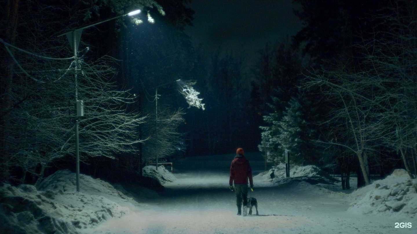 Отзывы на компанию Студия Щ в г. Новосибирск c фото