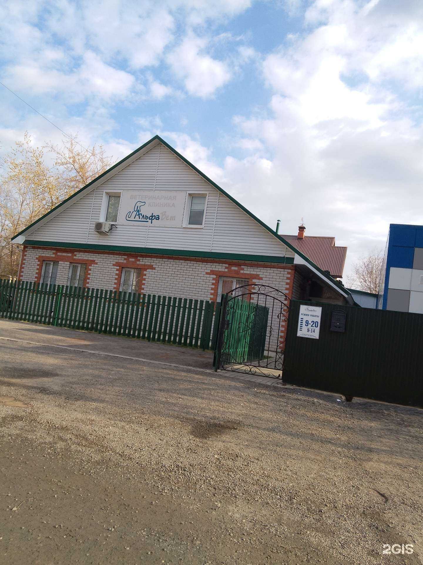 Отзывы на компанию АльфаВет в Барнауле c фото - фотография 2 из 2