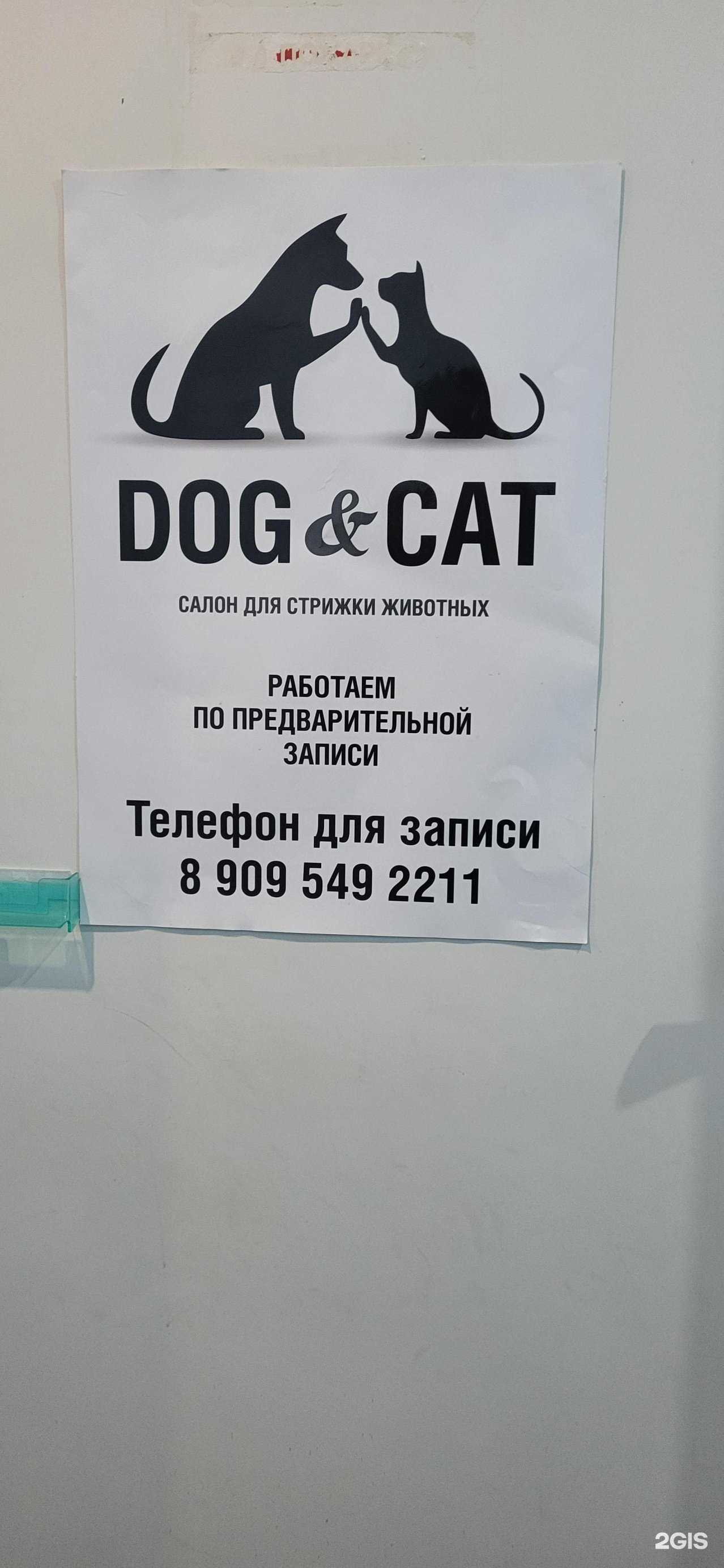Отзывы на компанию Dog&Kat в г. Северск c фото