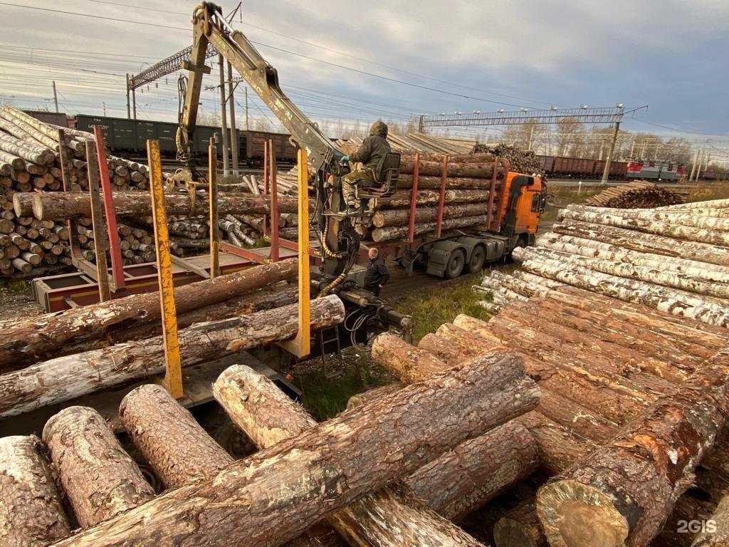 Отзывы на компанию Экстра-Лес в г. Вологда c фото