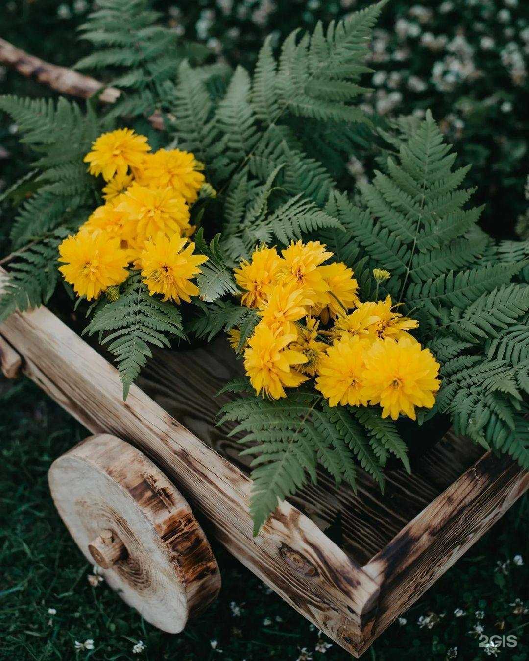 Отзывы на компанию У каждого своя деревня в г. Рязань c фото