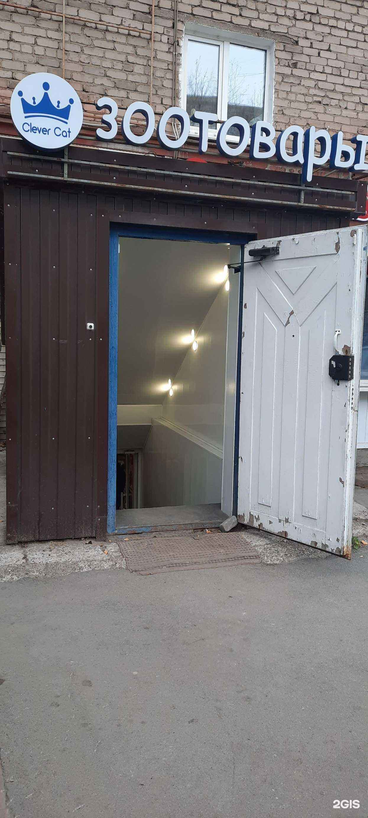 Отзывы на компанию Clever cat в Перми c фото