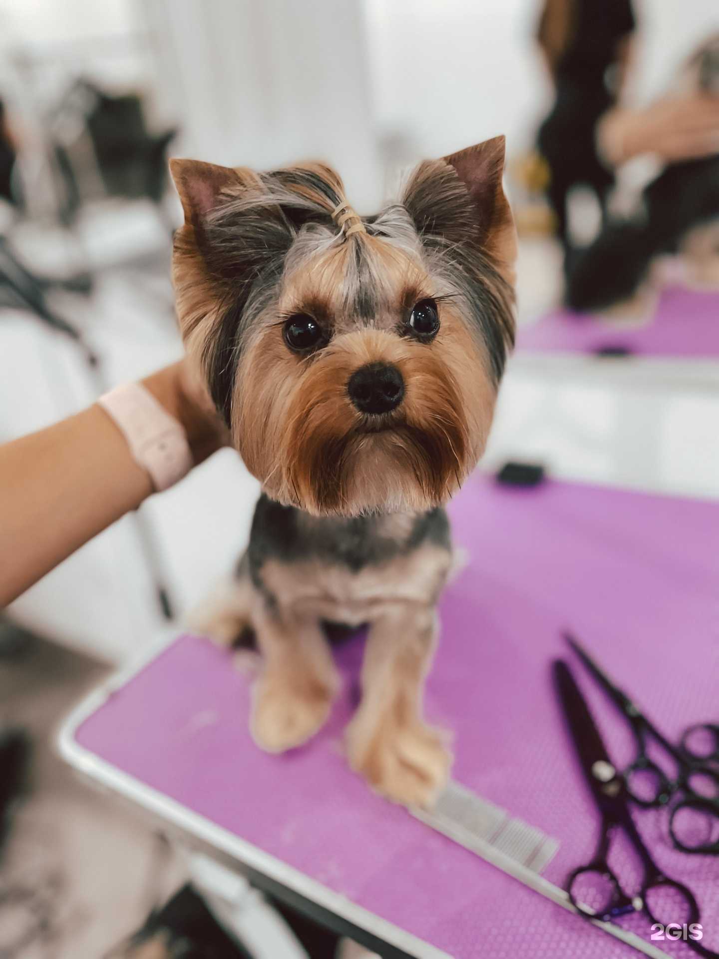 Отзывы на компанию Motion в г. Калининград c фото