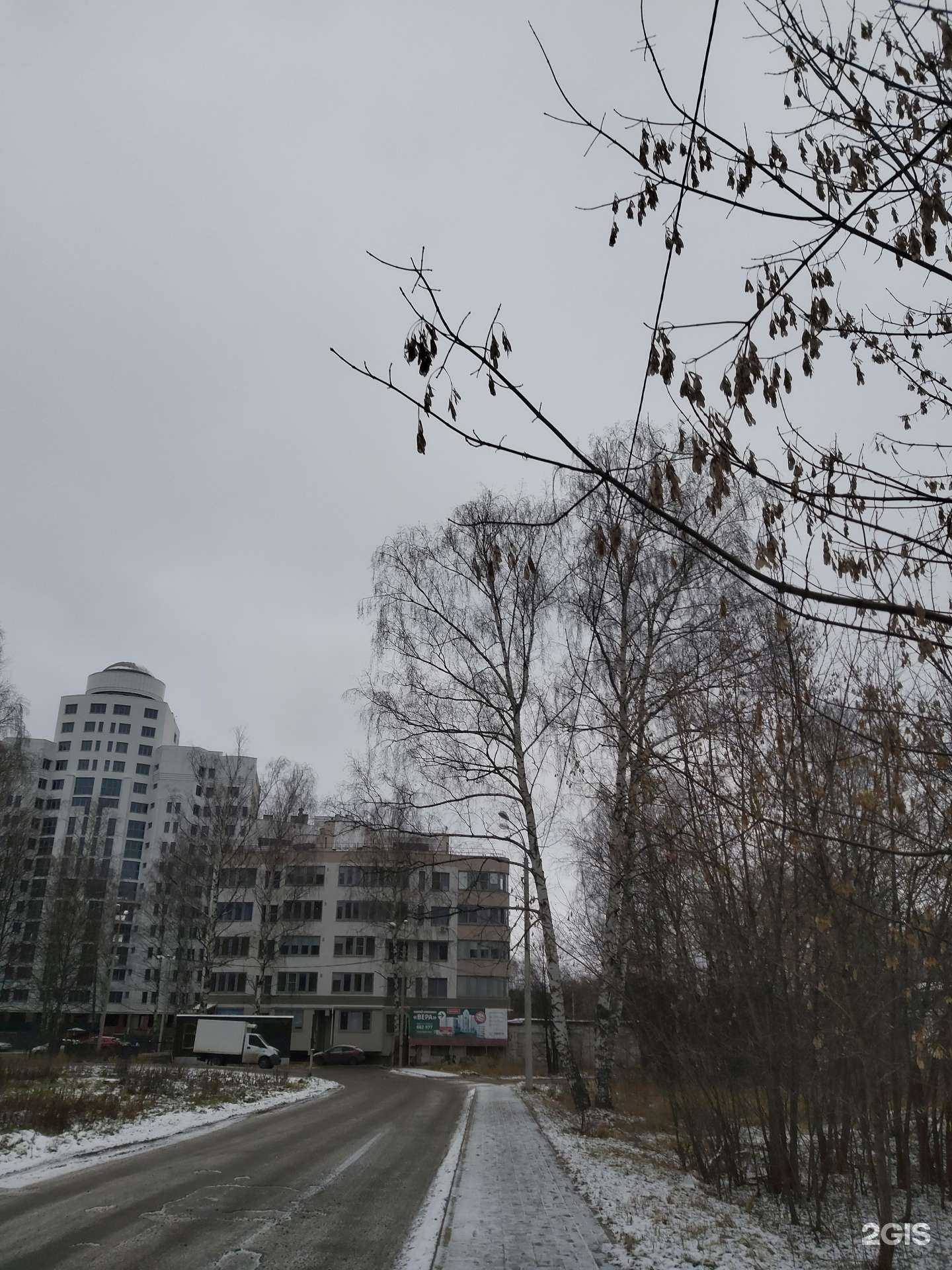 Отзывы на компанию VsemTransfer в г. Ярославль c фото