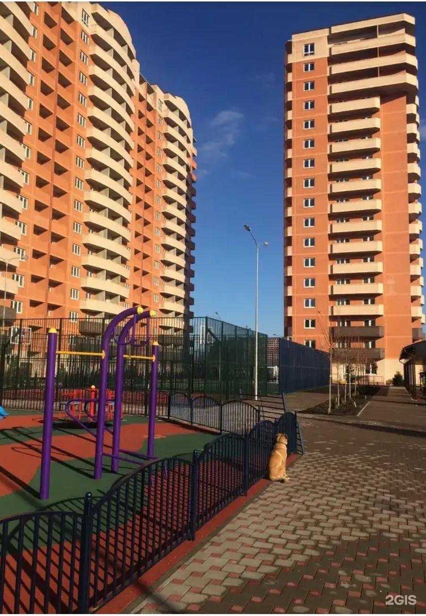 Отзывы на компанию Гингко в Краснодаре c фото - фотография 2 из 2