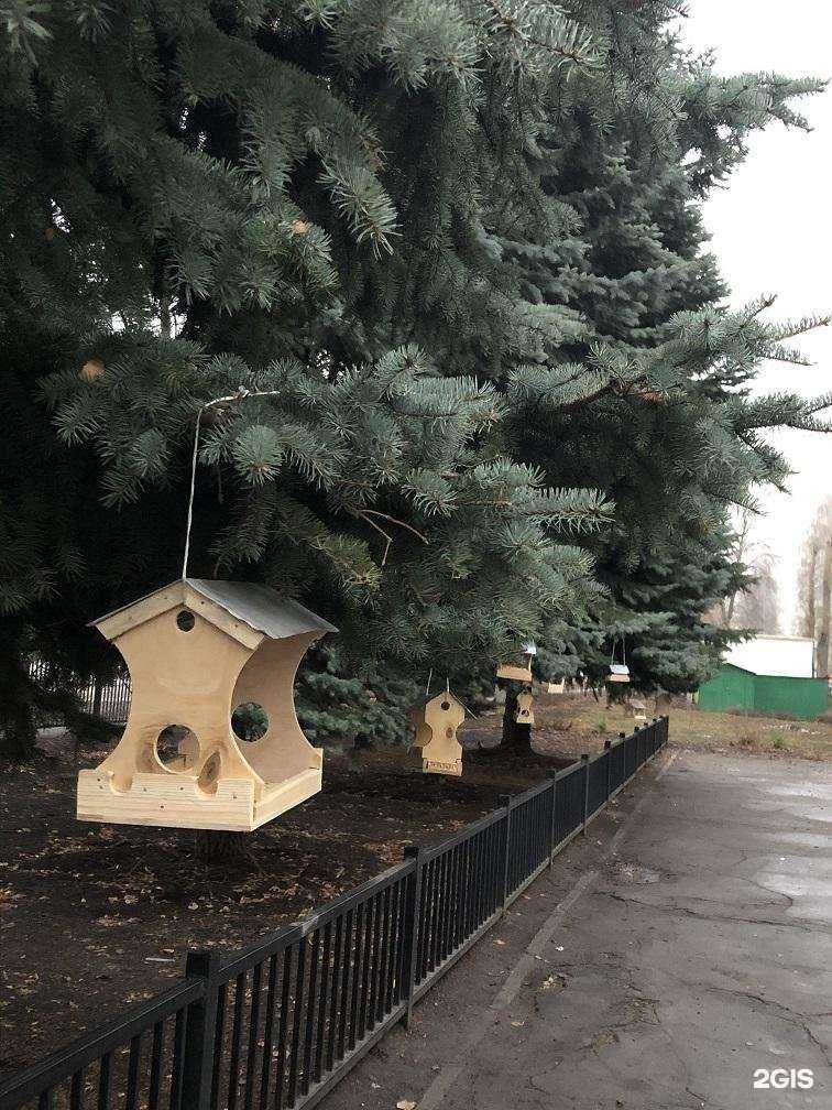 Отзывы на компанию Средняя школа №63 в г. Липецк c фото