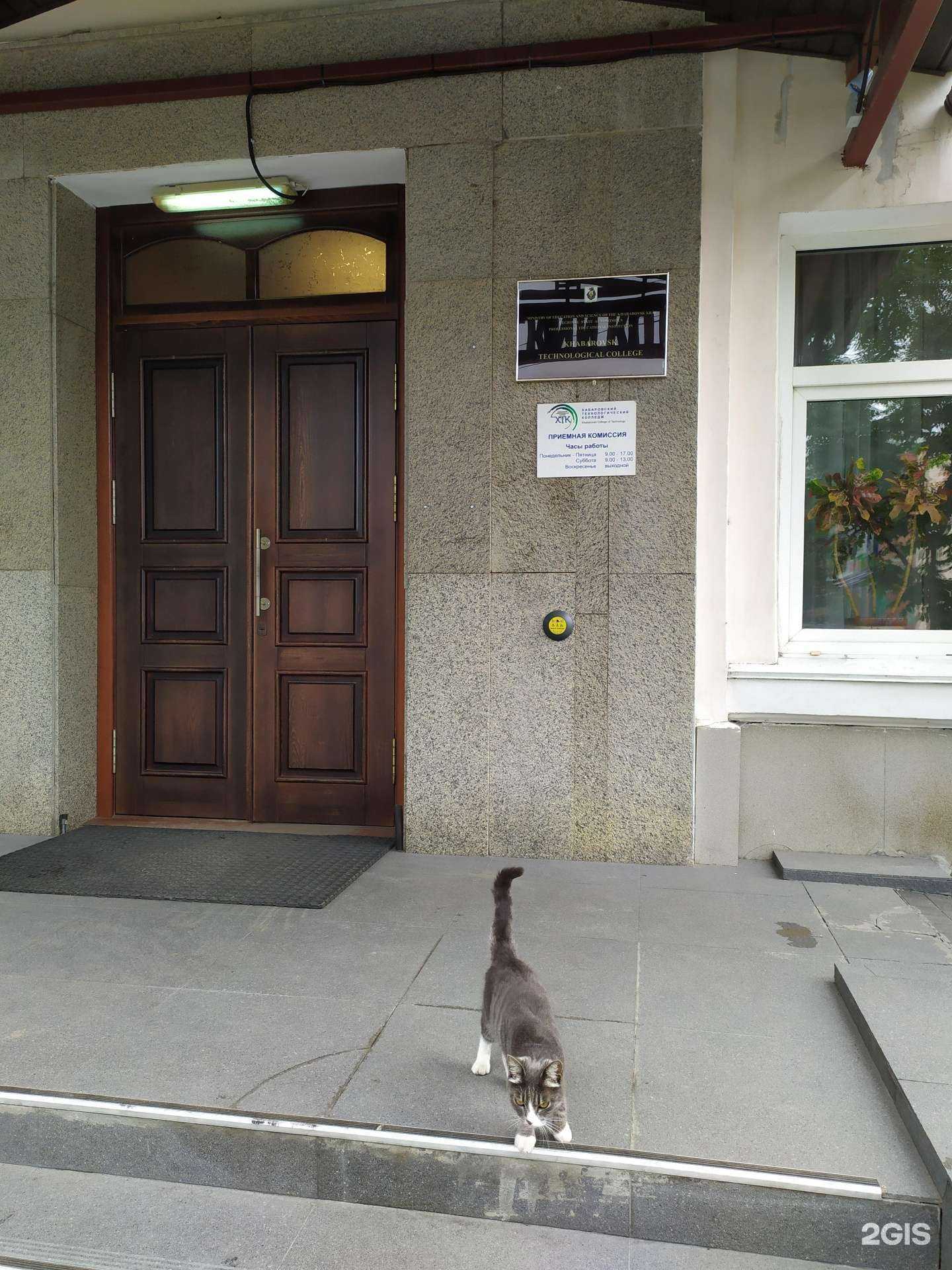 Отзывы на компанию Кафедра фотографии в Хабаровске c фото