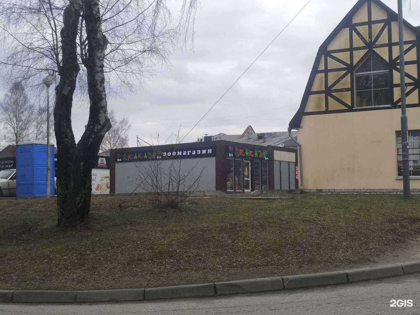 Отзывы на компанию Какаду в Светлогорске c фото