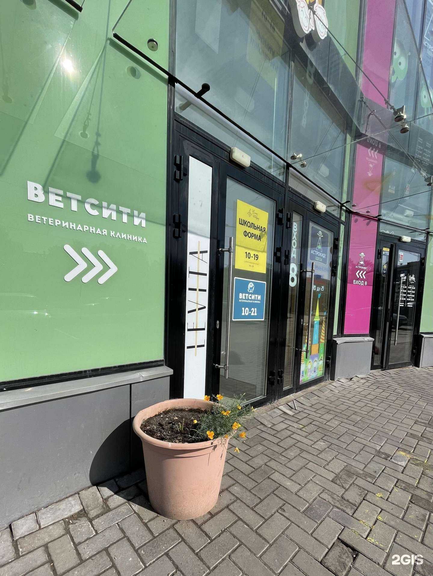 Отзывы на компанию ВЕТСИТИ в г. Пермь c фото