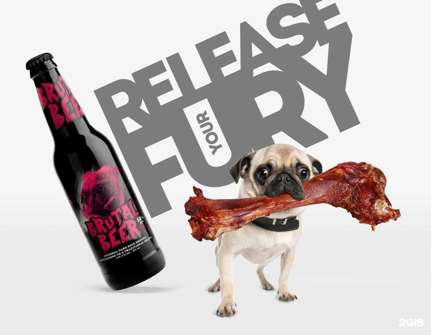 Отзывы на компанию Eventus в Пятигорске c фото