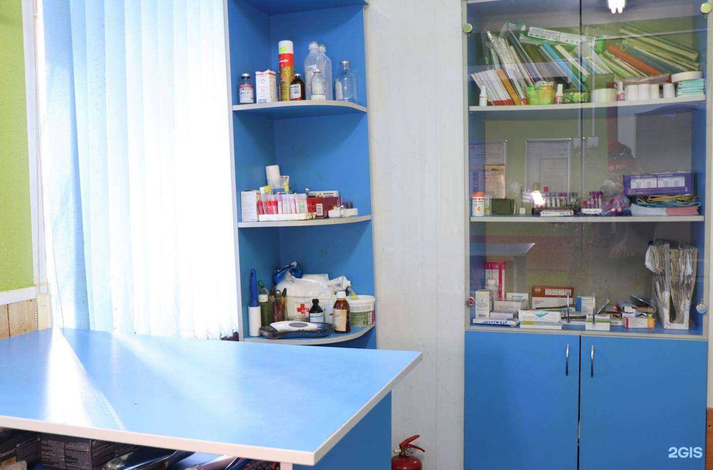 Отзывы на компанию Багира в Нижнем Новгороде c фото