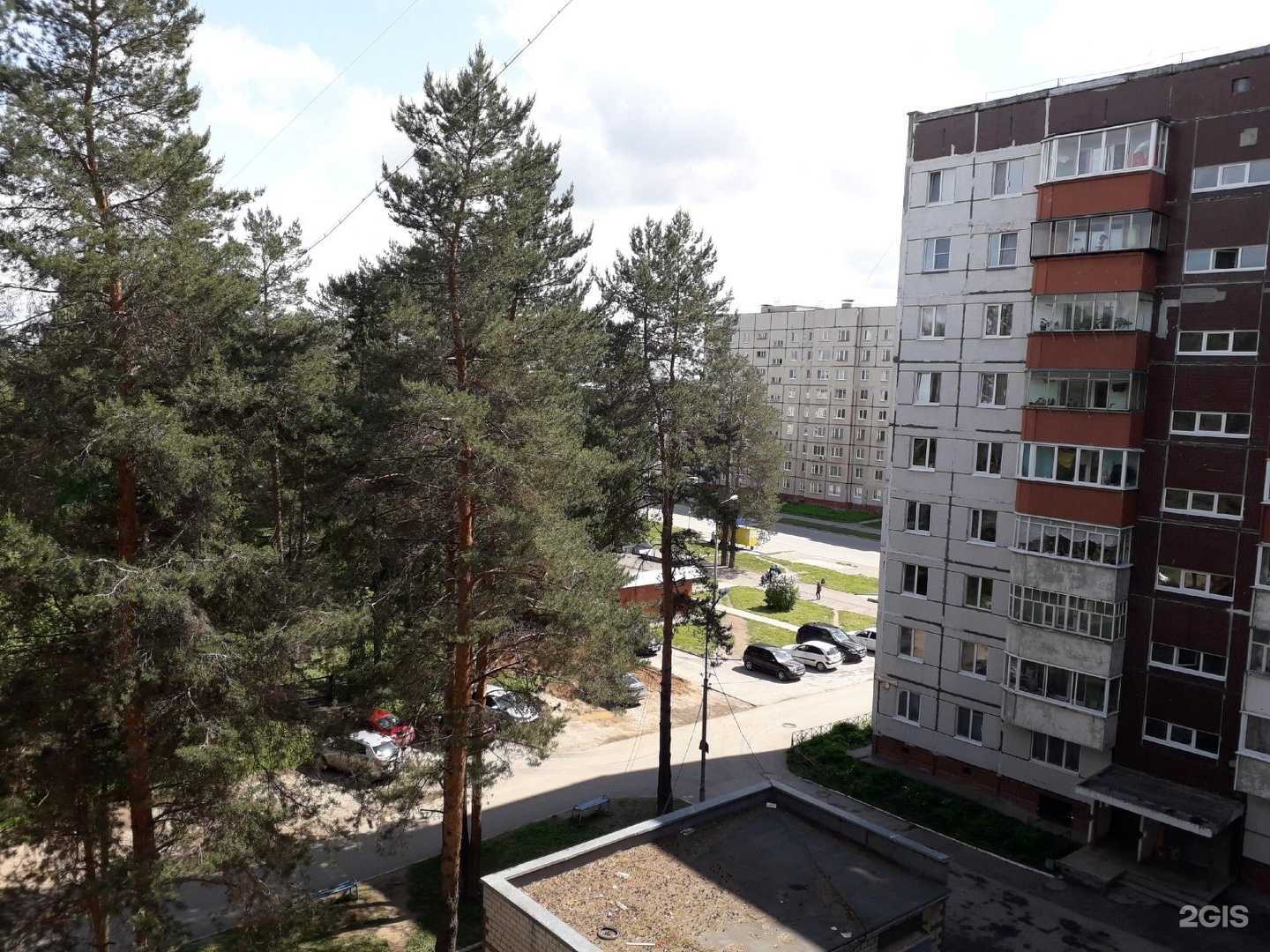 Отзывы на компанию Малина в Добрянке c фото - фотография 2 из 2