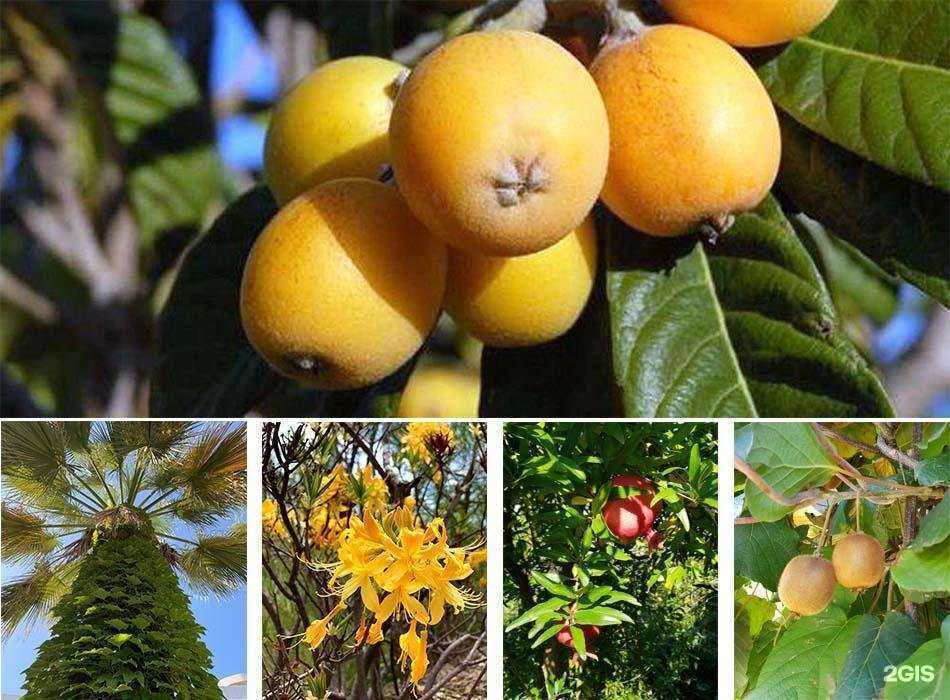 Отзывы на компанию Градриэлт в г. Сочи c фото