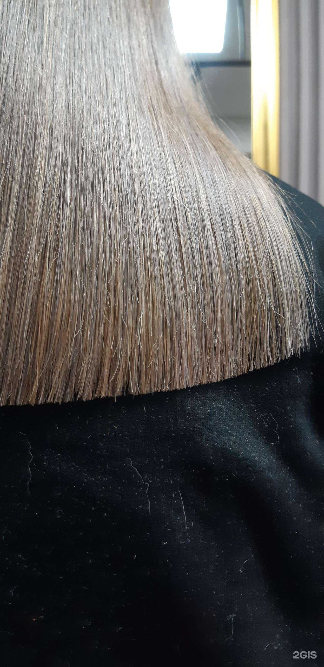 Отзывы на компанию Эс в Ставрополе c фото