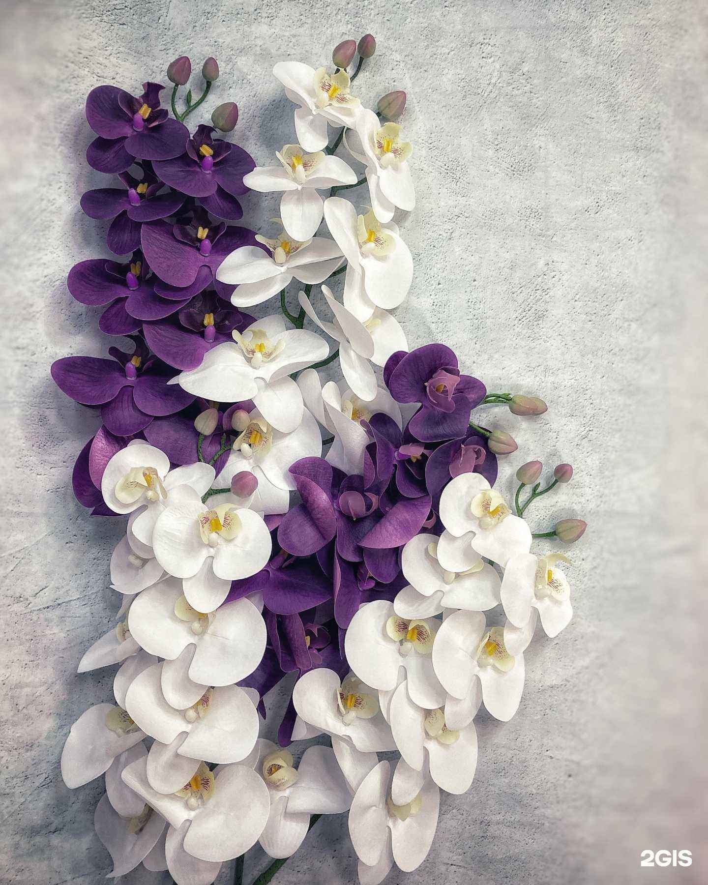 Отзывы на компанию DIV-Декор в г. Оренбург c фото