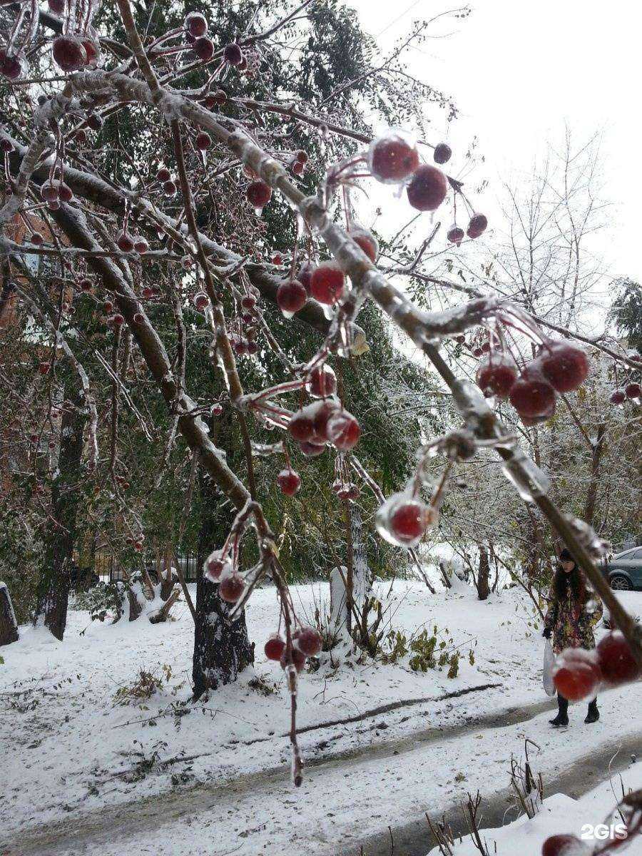 Отзывы на компанию Ск юнион в Челябинске c фото