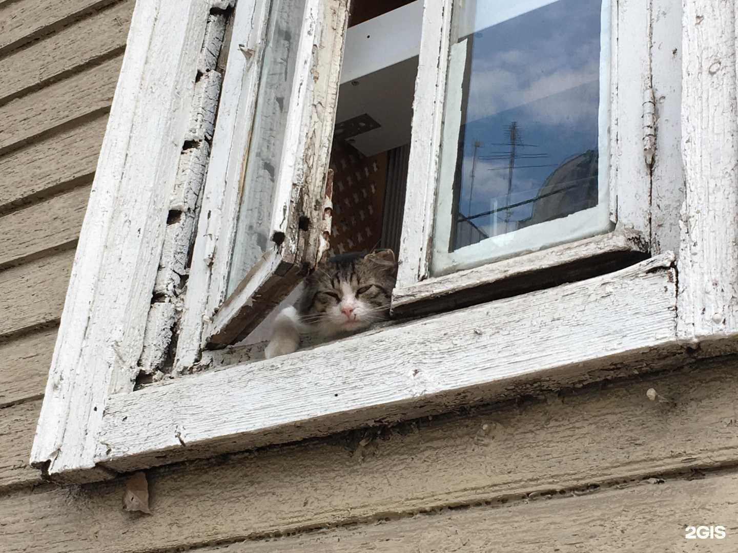 Отзывы на компанию Дельта в Самаре c фото - фотография 2 из 2