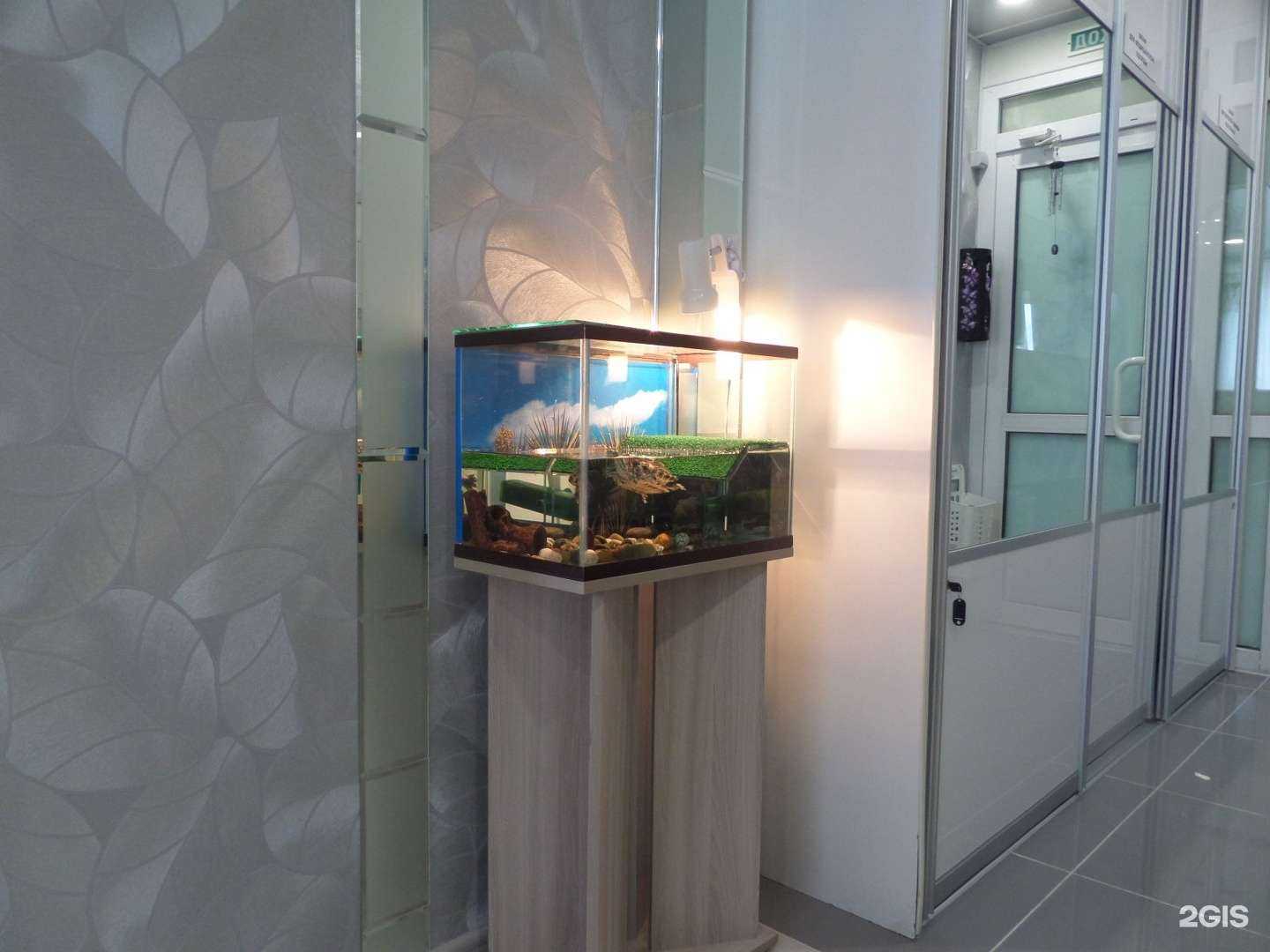 Отзывы на компанию ЛигаДент в г. Омск c фото