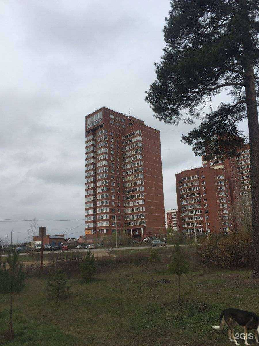 Отзывы на компанию Линсис в Перми c фото - фотография 2 из 2