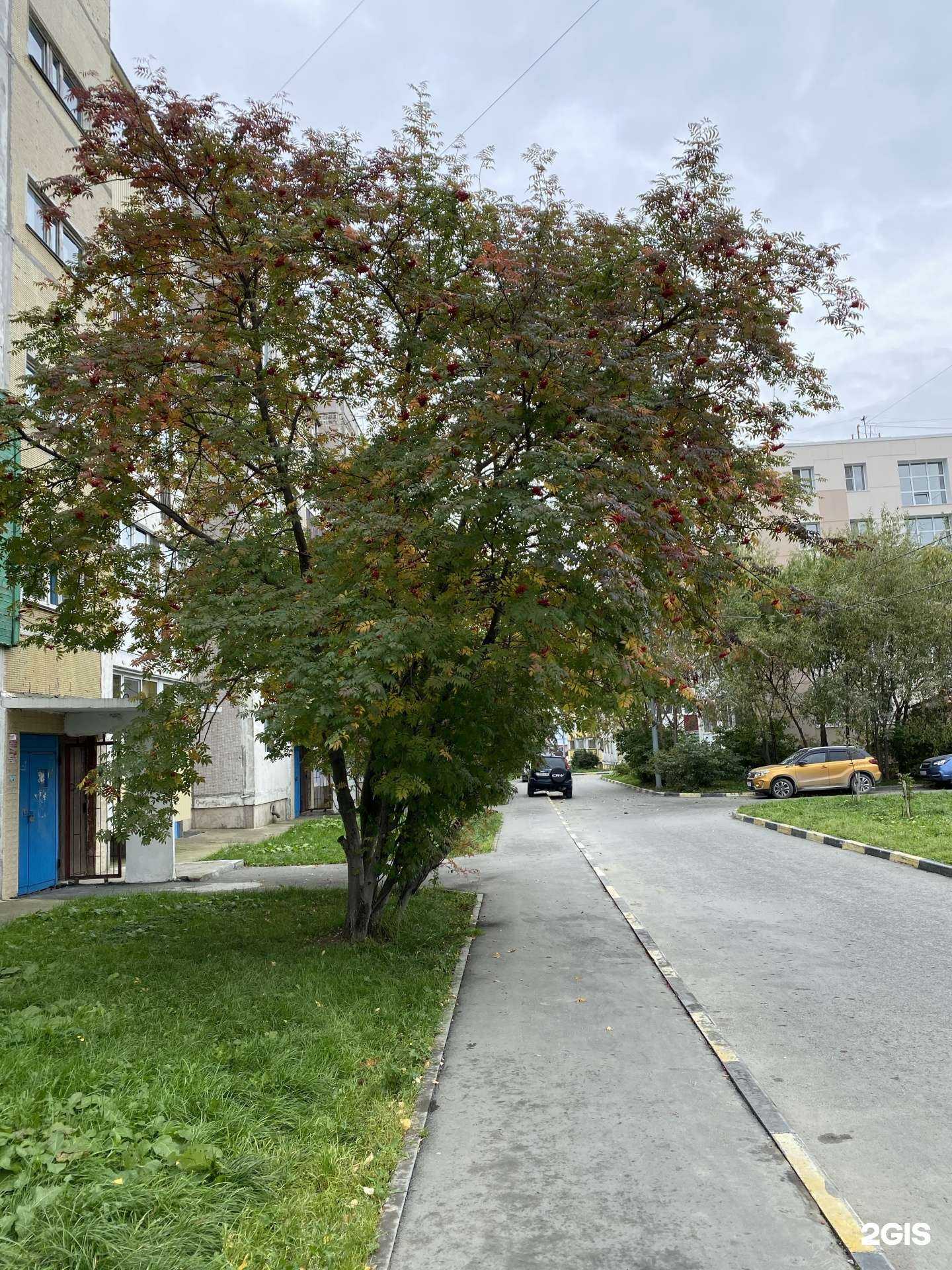 Отзывы на компанию ВолшебникУм в Южно-Сахалинске c фото