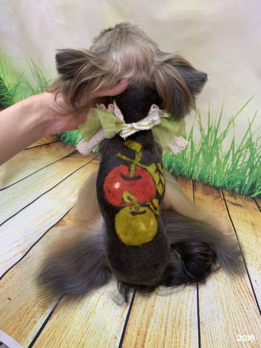 Отзывы на компанию Дог cтайл в Петропавловске-Камчатском c фото