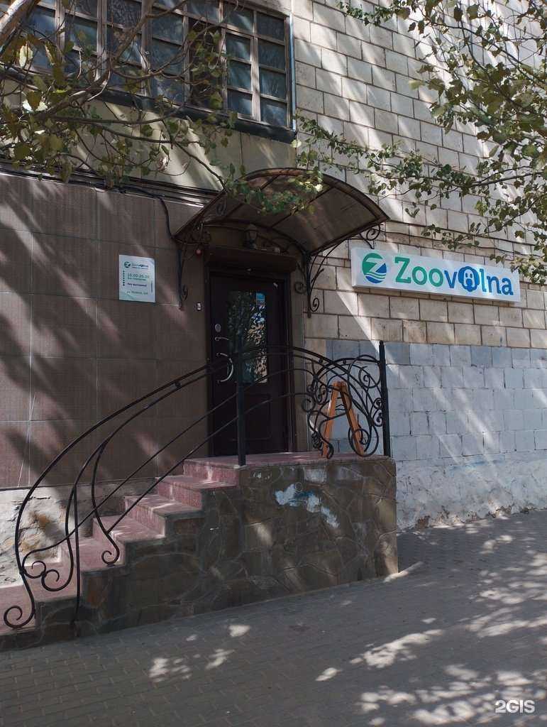 Отзывы на компанию Зооволна.ру в г. Волжский c фото