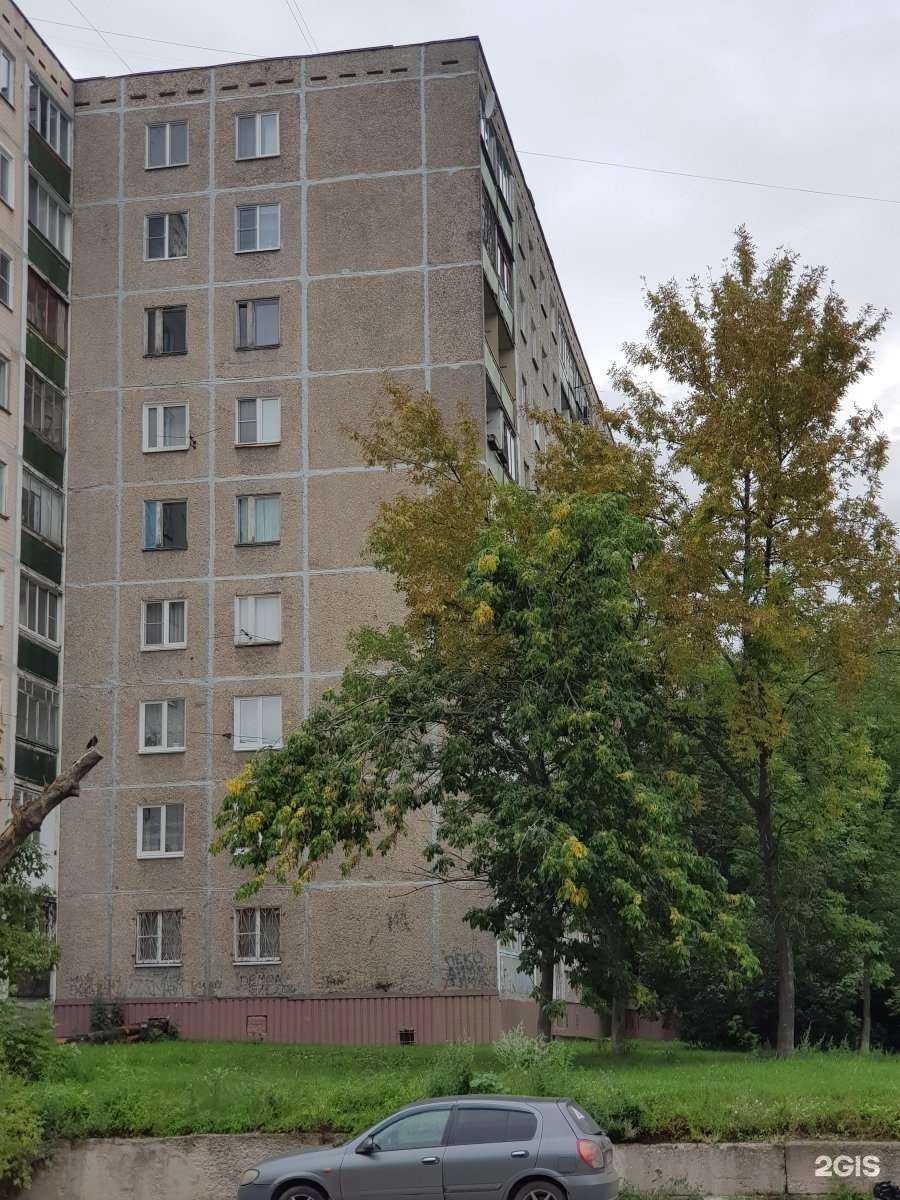 Отзывы на компанию Маугли в Нижнем Новгороде c фото - фотография 2 из 2