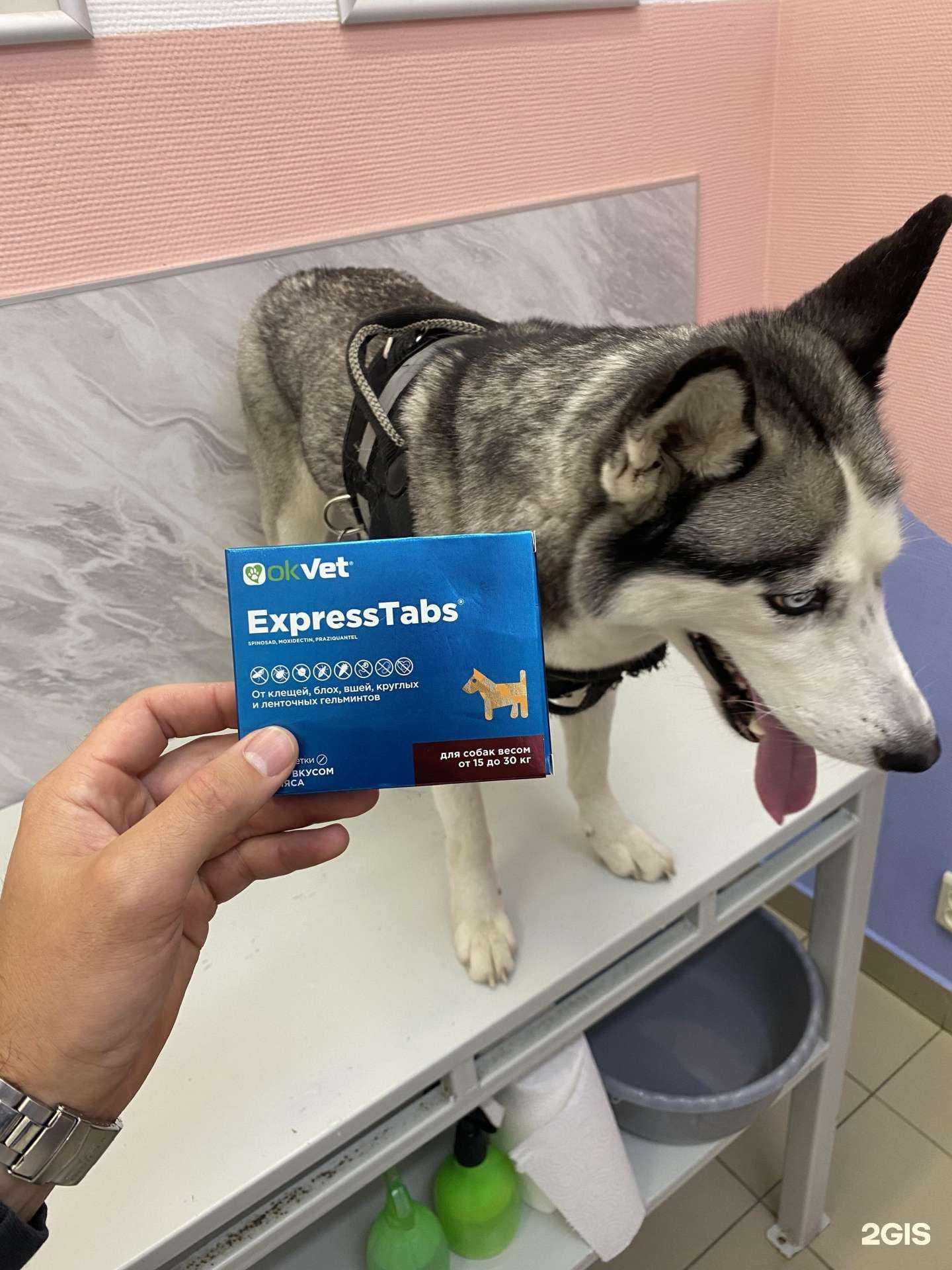 Отзывы на компанию Demaris в г. Рубцовск c фото