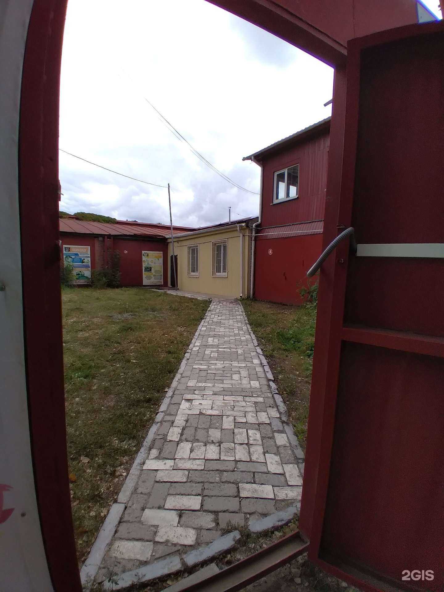 Отзывы на компанию Совенок в Саратове c фото - фотография 2 из 2