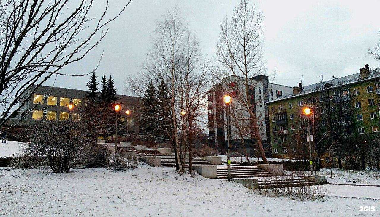 Отзывы на компанию РЕСО-мед в Петрозаводске c фото