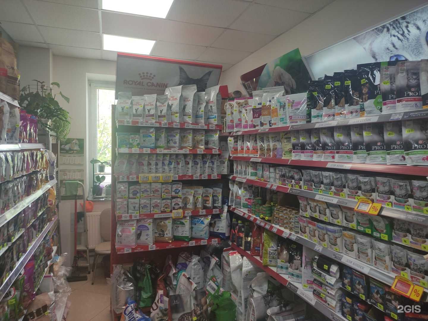 Отзывы на компанию Кузя в Голицыне c фото