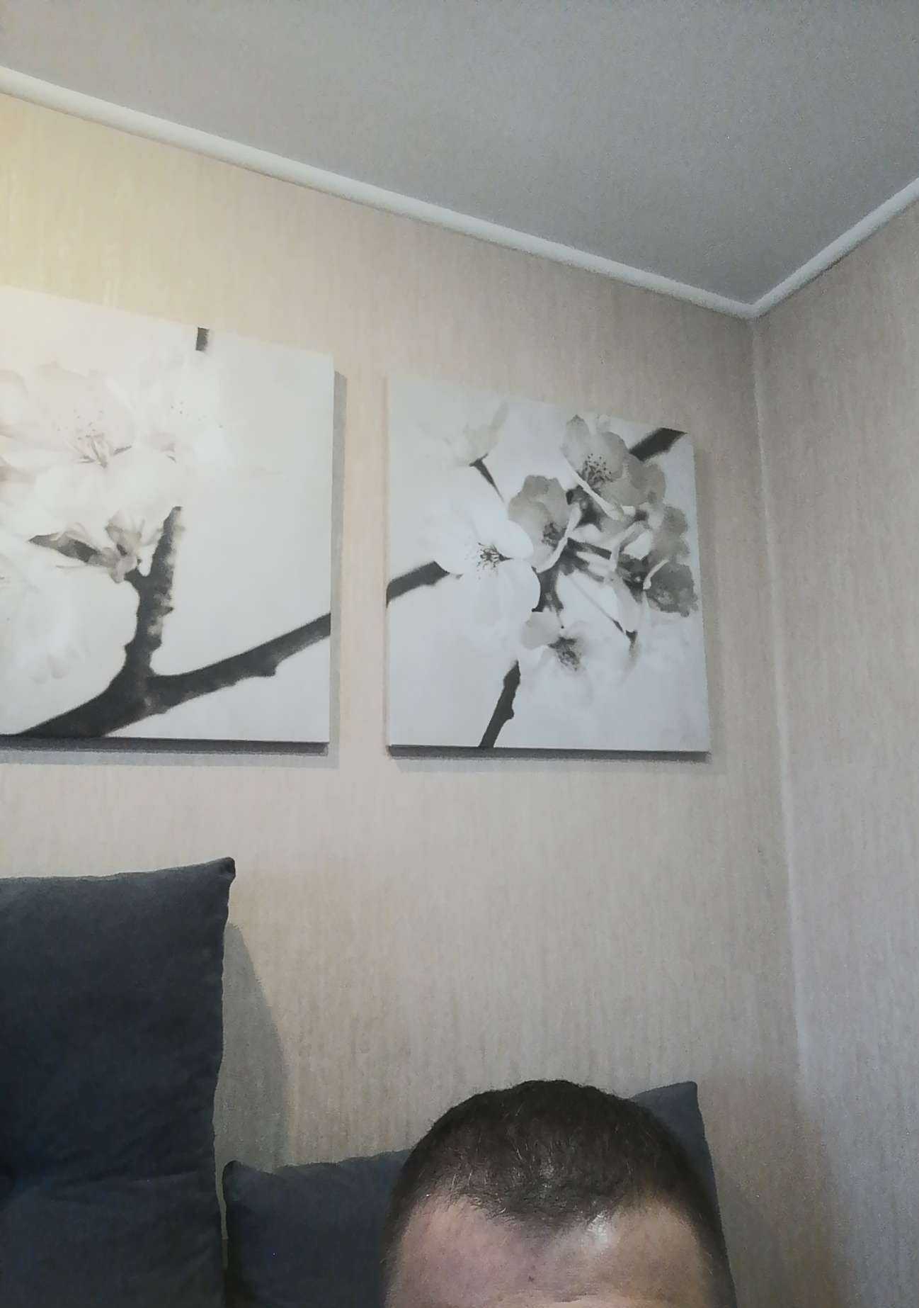 Отзывы на компанию Чёлка в г. Кострома c фото