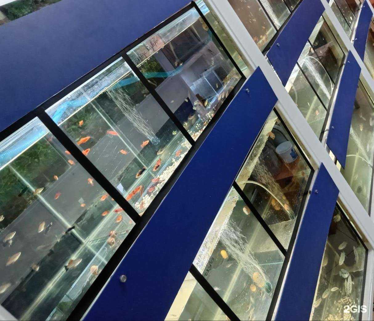 Отзывы на компанию Немо и Дори в Омске c фото