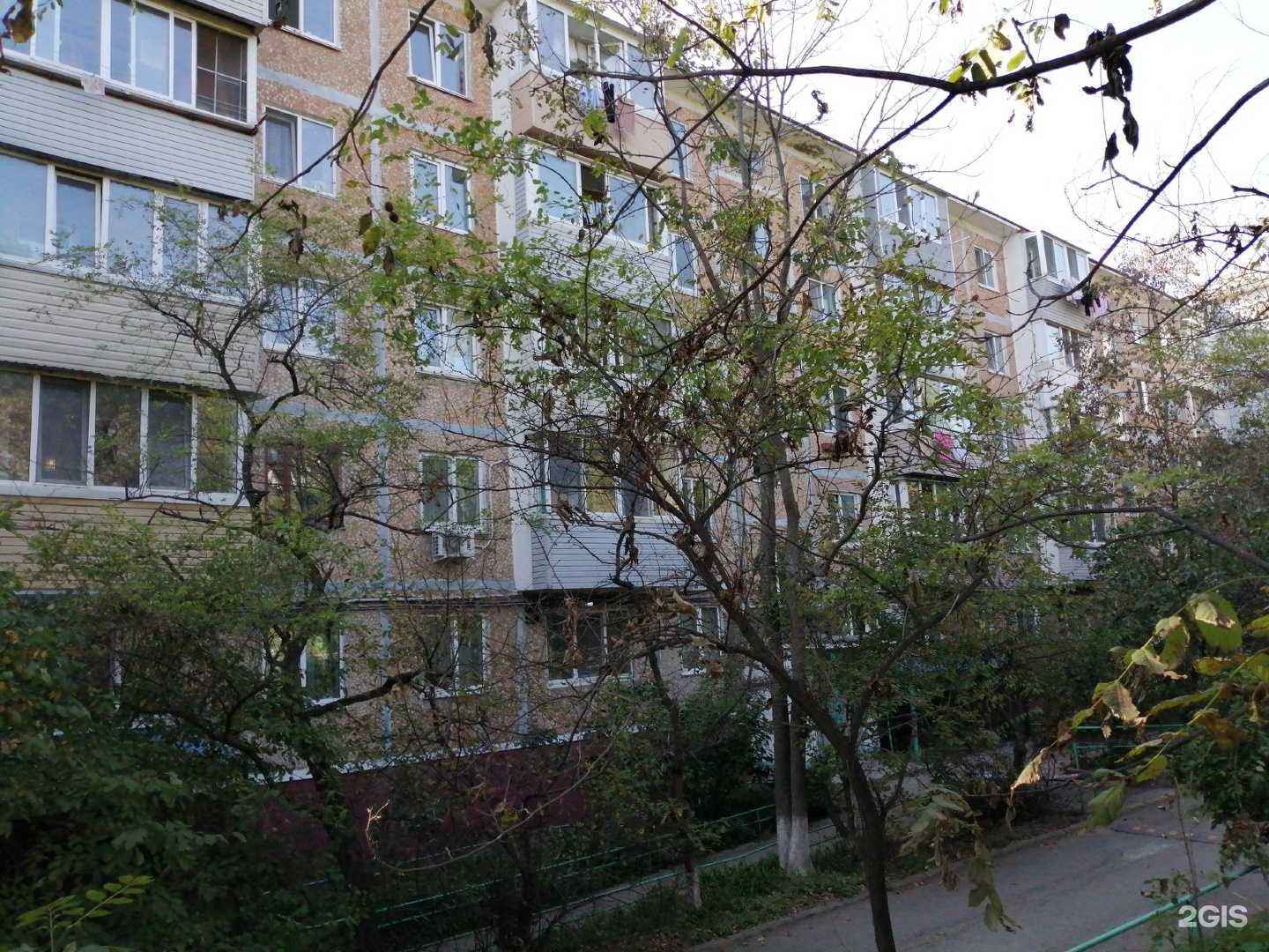 Отзывы на компанию Семейная аптека в Владивостоке c фото - фотография 2 из 2