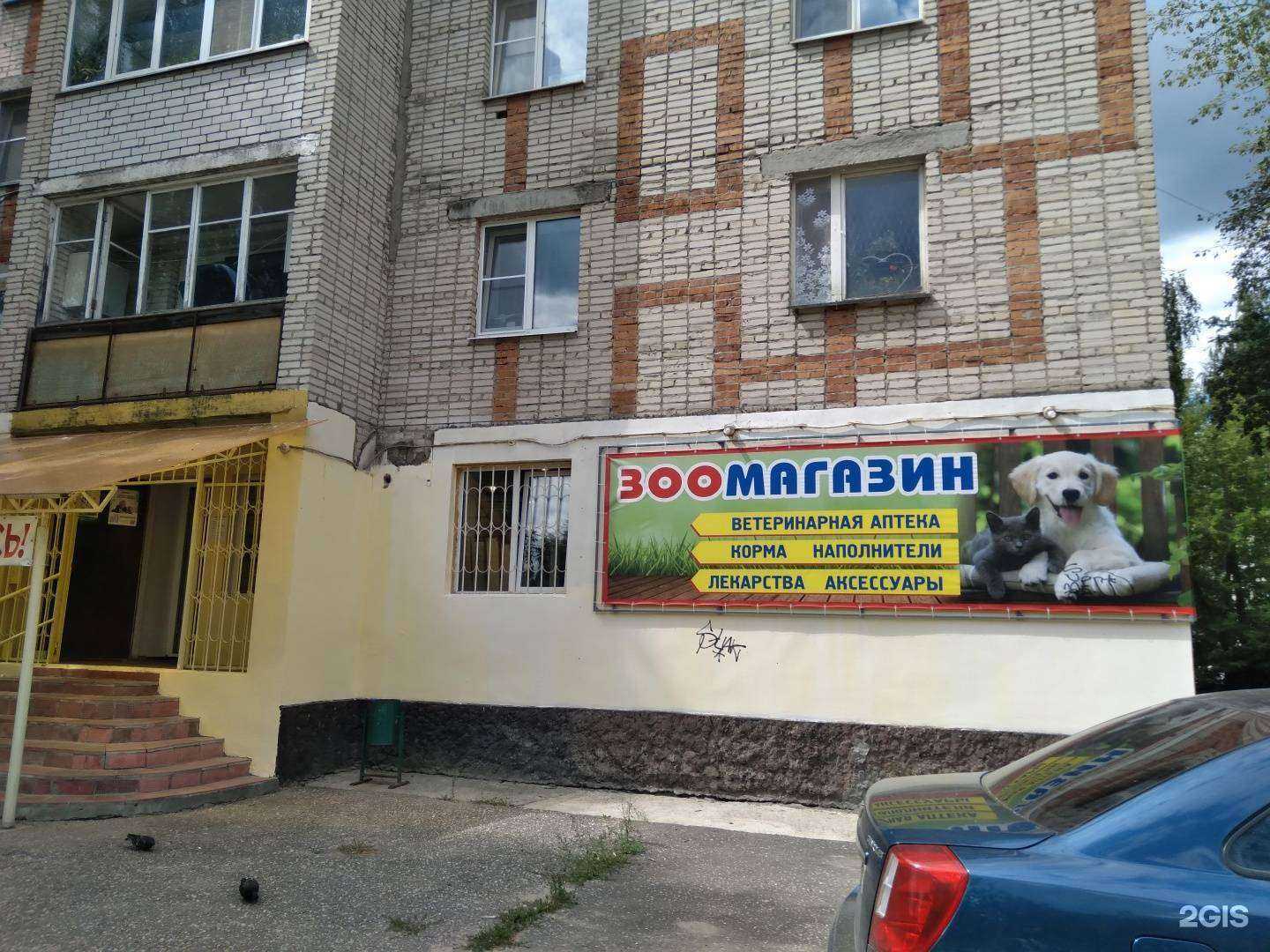 Отзывы на компанию Барсик в Гуси-Хрустальном c фото