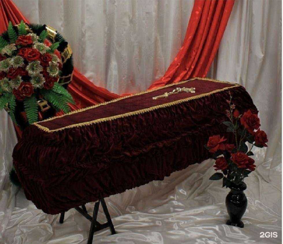 Отзывы на компанию Канон в Новокузнецке c фото