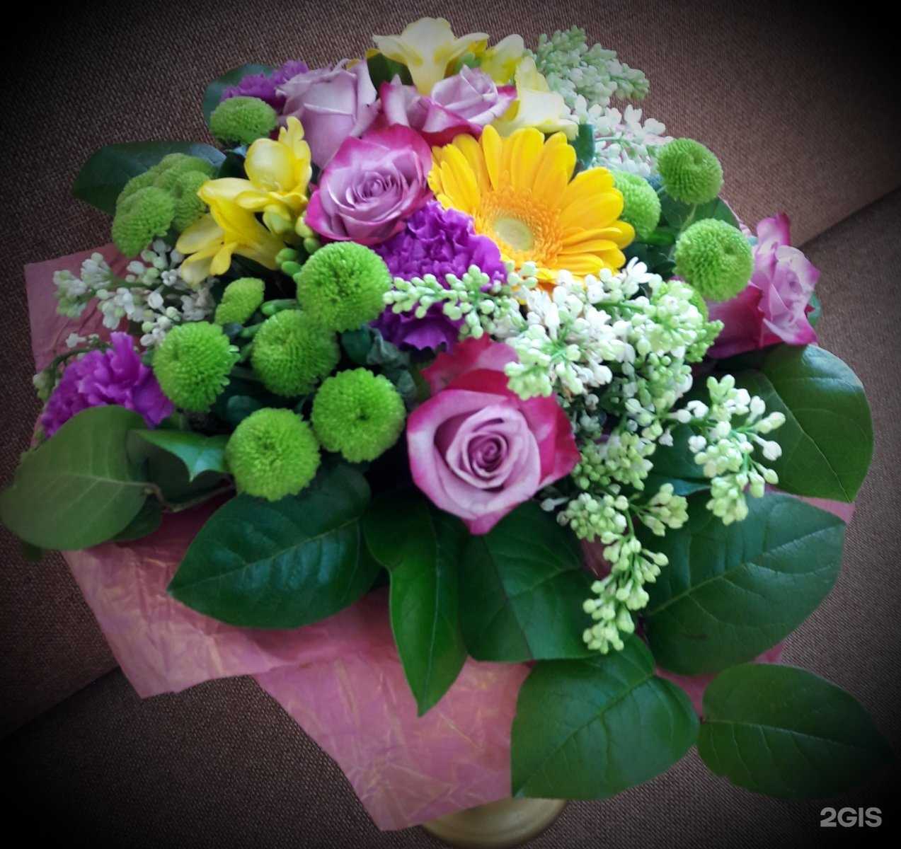 Отзывы на компанию Ницца в Липецке c фото