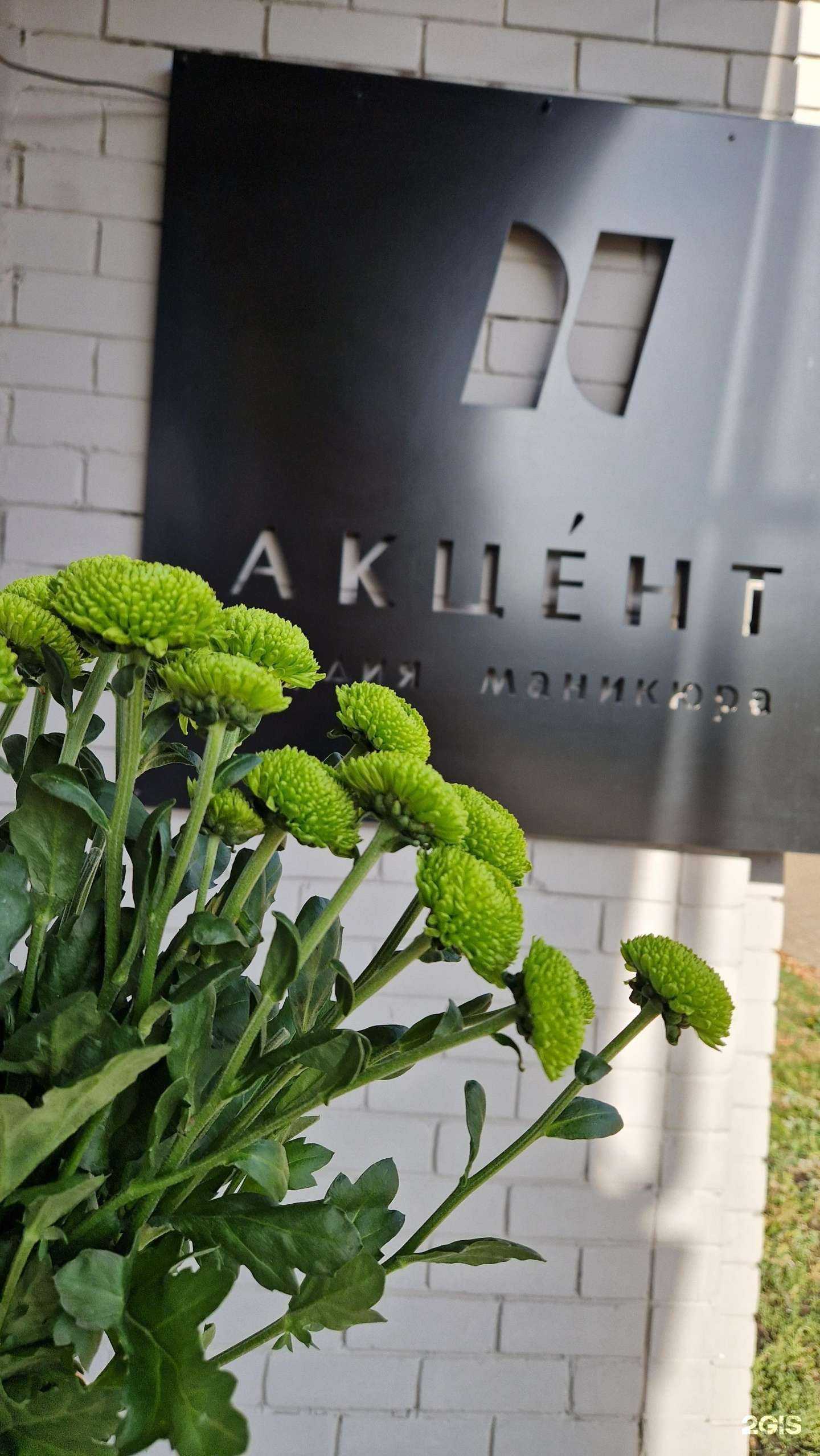 Отзывы на компанию Акцент в г. Тамбов c фото