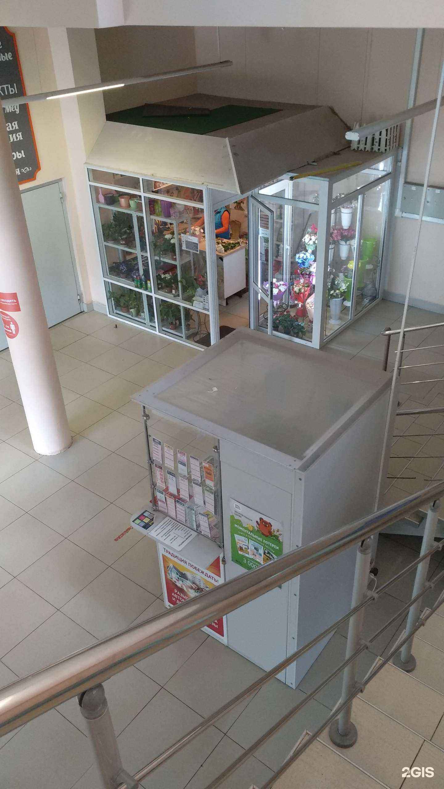 Отзывы на компанию Протея в Ступине c фото