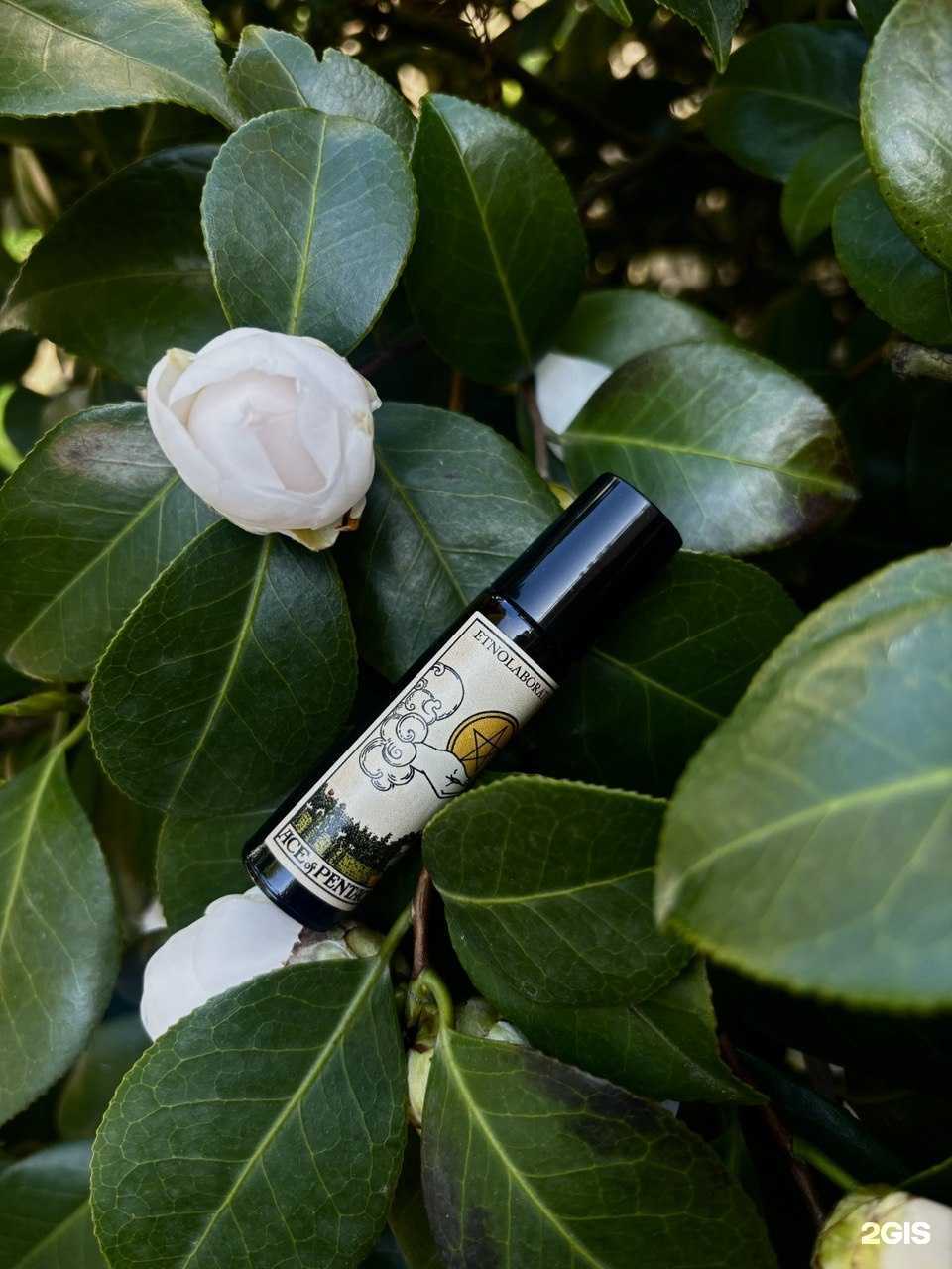 Отзывы на компанию Etnolaboratory в г. Нижний Новгород c фото