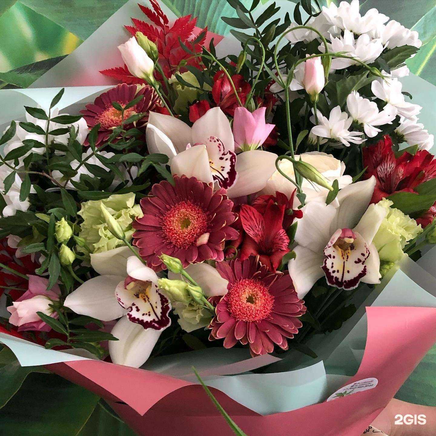 Отзывы на компанию Соловейко в Новосибирске c фото