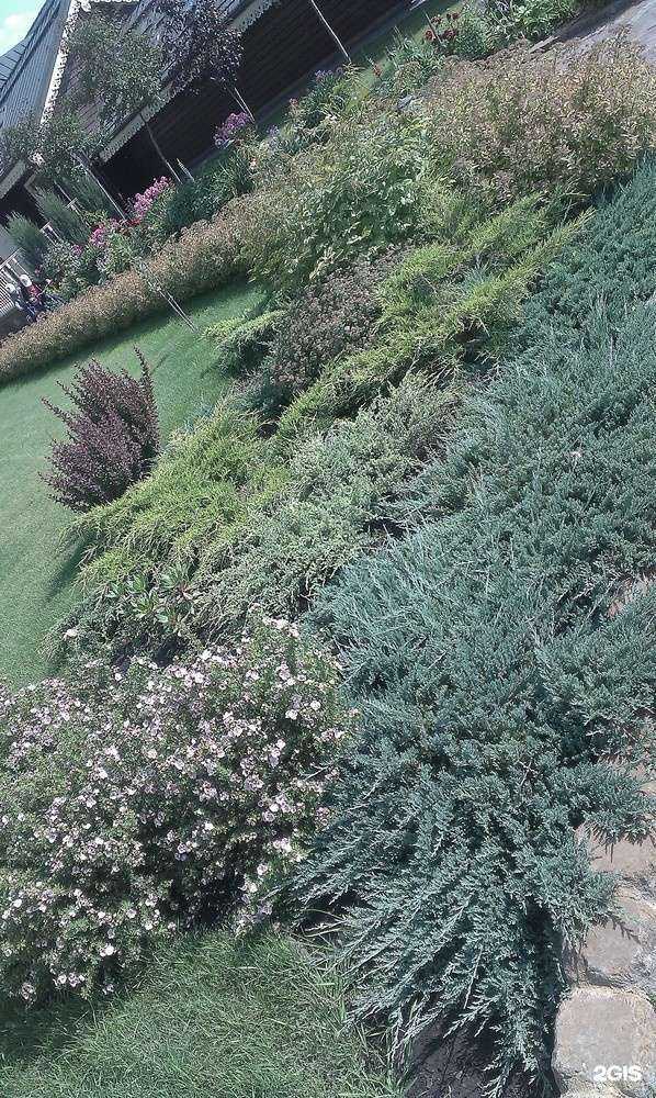 Отзывы на компанию Радуга улиц в Тюмени c фото