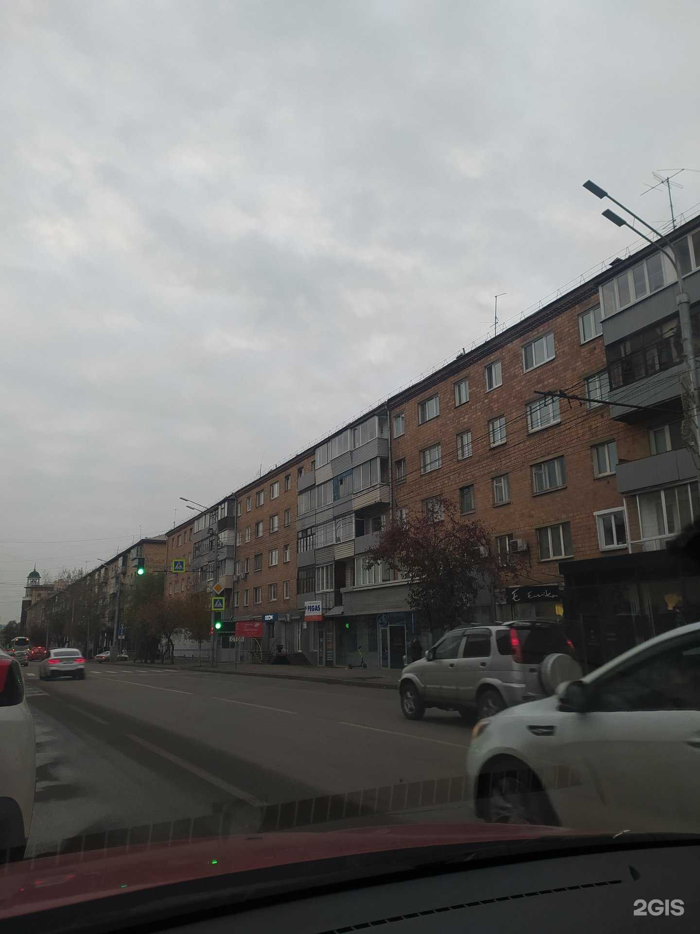 Отзывы на компанию Первый зоомагазин в Красноярске c фото - фотография 2 из 2