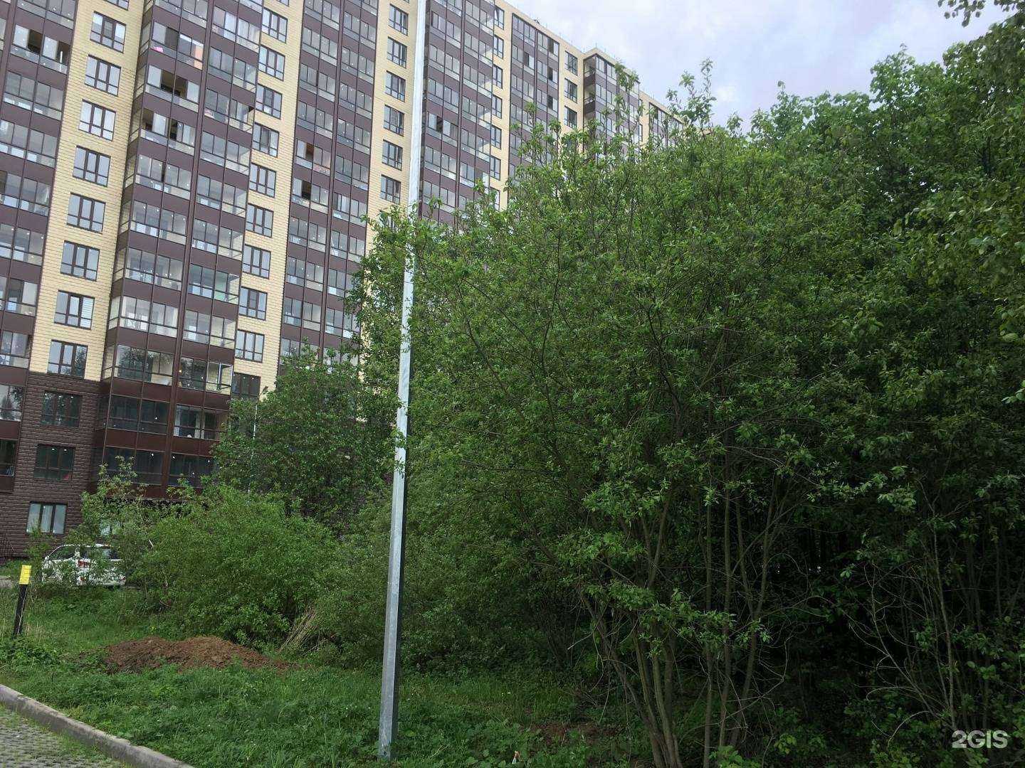 Отзывы на компанию ПромСтандартНадзор в Лобне c фото - фотография 2 из 2